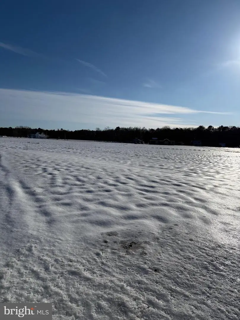 -lot # 2 Redden Road, Bridgeville, DE 19933 - #1