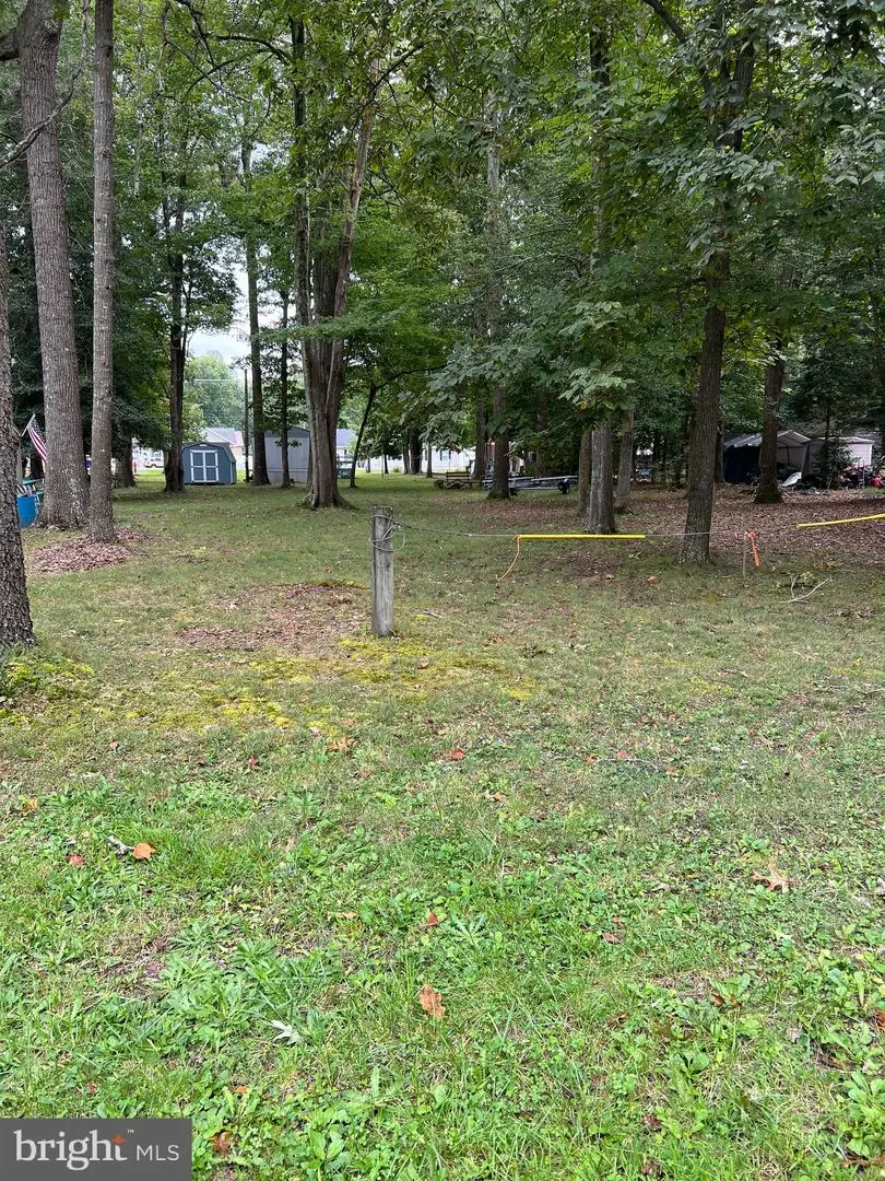 Tbd Steele, Millsboro, DE 19966 - Image #2