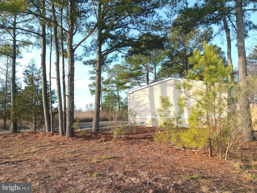 35397 Apple St #49970, Millsboro, DE 19966 - #3