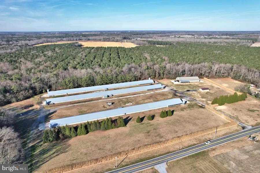 26830 N Hollyville Rd, Millsboro, DE 19966 - Image #3