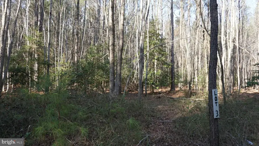 Shiloh Church Rd #lot 3, Laurel, DE 19956 - Image #2