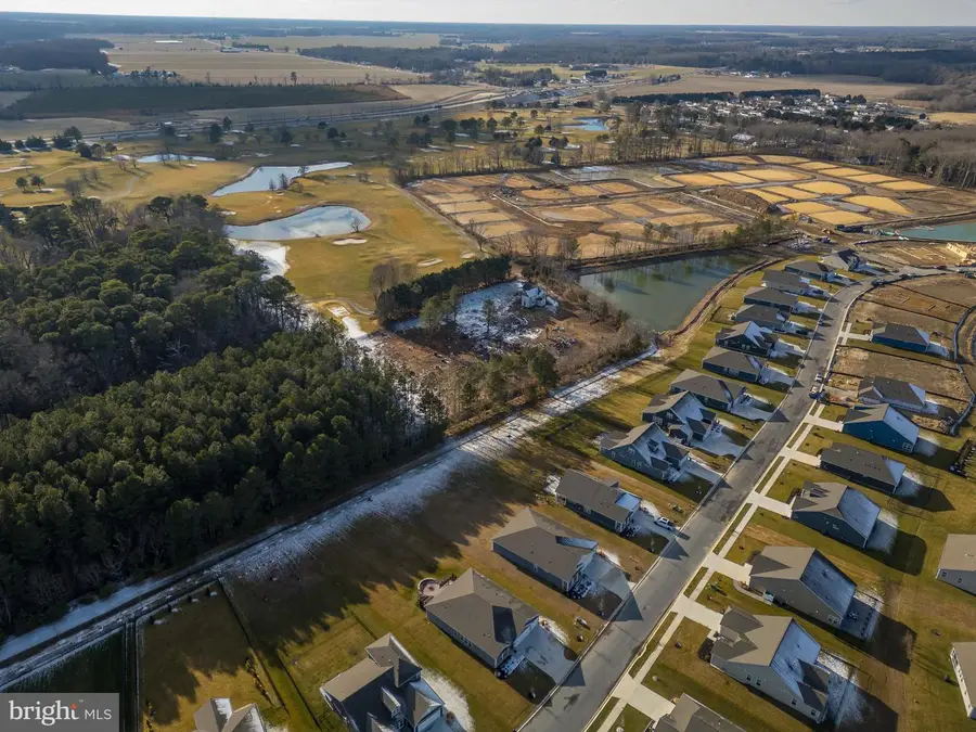 24188 W Cypress Way, Milton, DE 19968 - #3