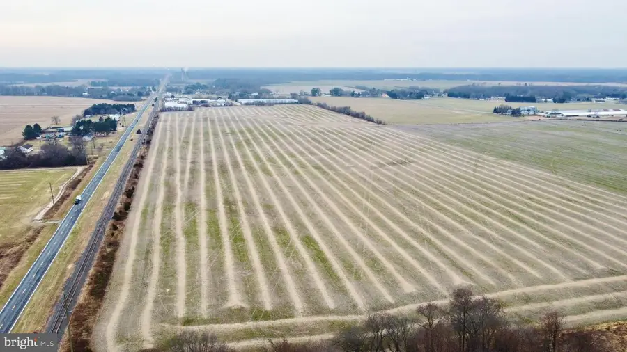 Parcel 1 - Wilson Farm Rd, Bridgeville, DE 19933 - Image #2