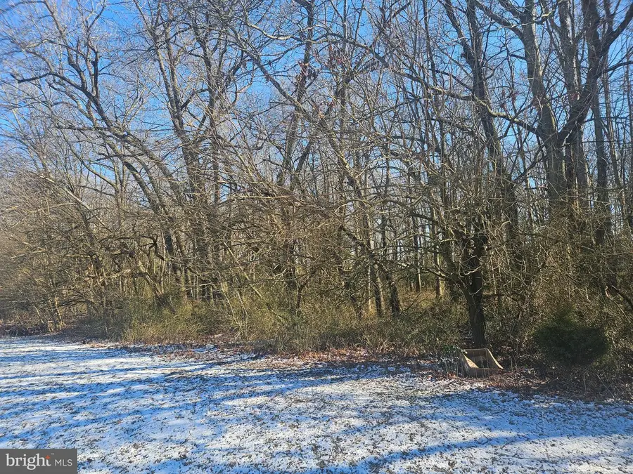 590 Acess Eas Residual Lands, Greenwood, DE 19950 - #3