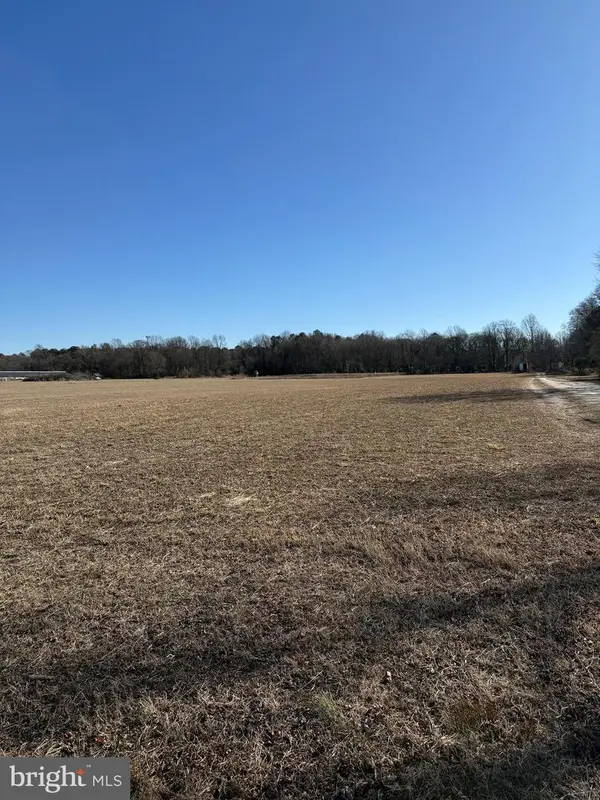 12393-lot # 4 Taylor Mill Road, LAUREL, DE 19956