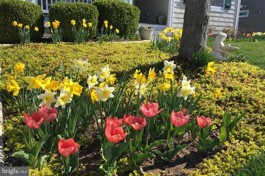 16635 Shoal Rd, Lewes, DE 19958 - #3