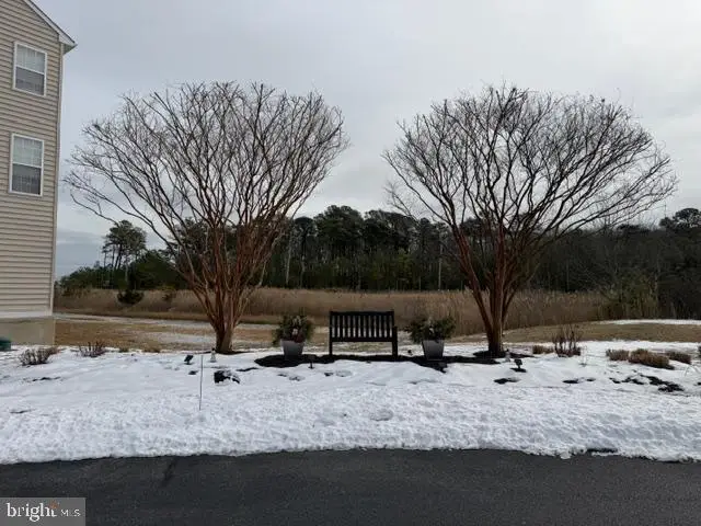 26740 Chatham Ln, Millsboro, DE 19966 - Image #2