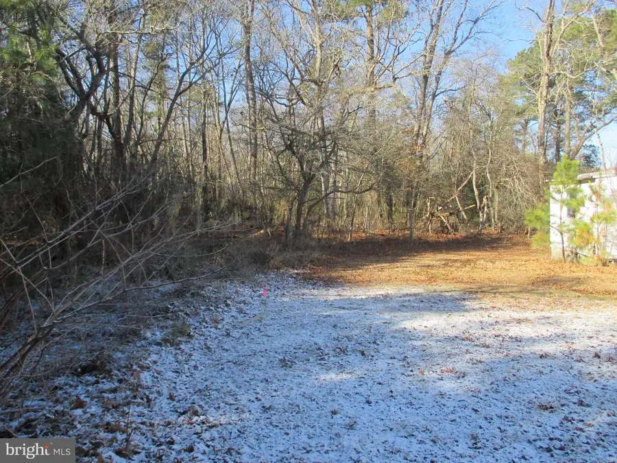 30778 Bunting Road, Dagsboro, DE 19939 - #3