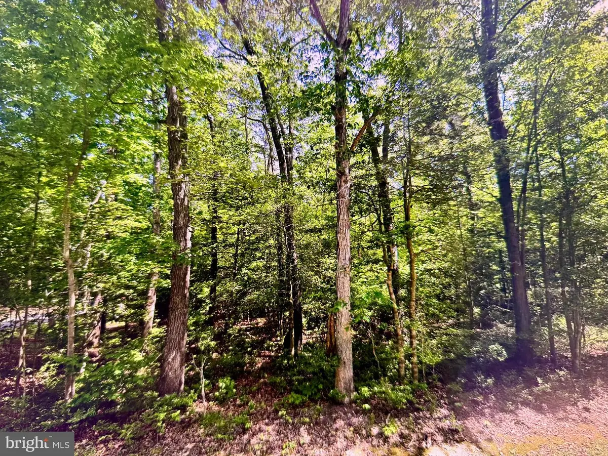 Lot 19 Mission Place, Millsboro, DE 19966 - #1