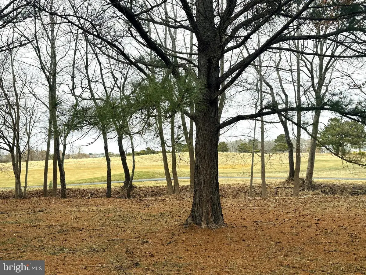 139 Willow Oak Ave, Ocean View, DE 19970 - #1