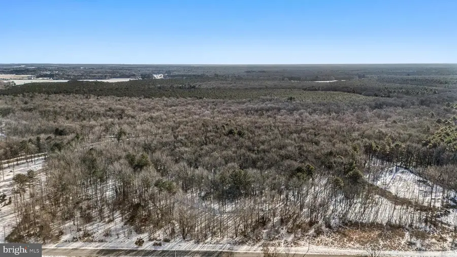 13526 Beaver Dam Rd, Ellendale, DE 19941 - #2