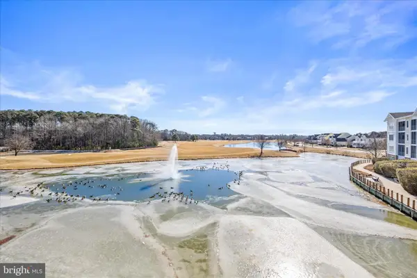 31738 Lakeview Dr #203, SELBYVILLE, DE 19975