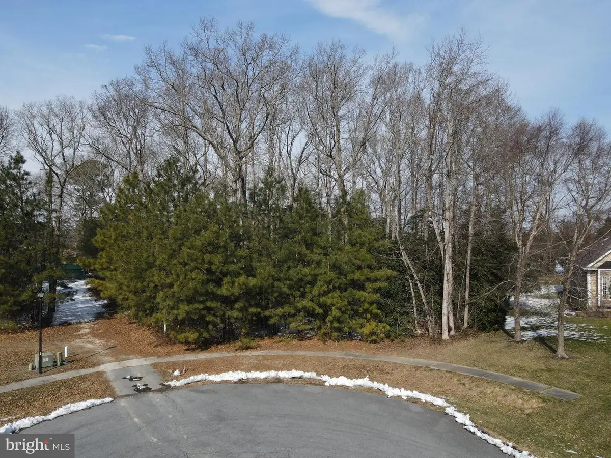 29158 Finch Ln, Milton, DE 19968 - #1