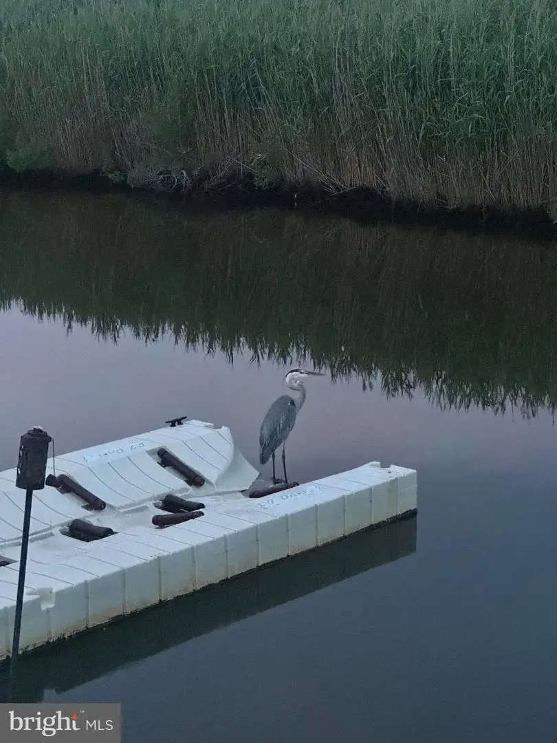 37838 Swann Dr, Selbyville, DE 19975 - #2