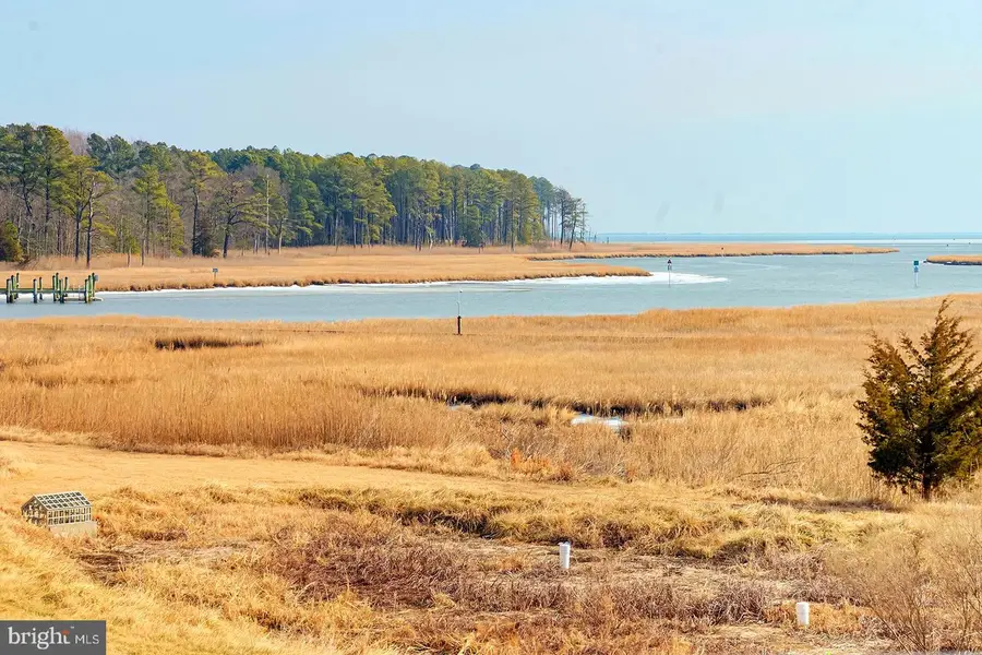 33548 Old Salt Ln #2204, Lewes, DE 19958 - #3