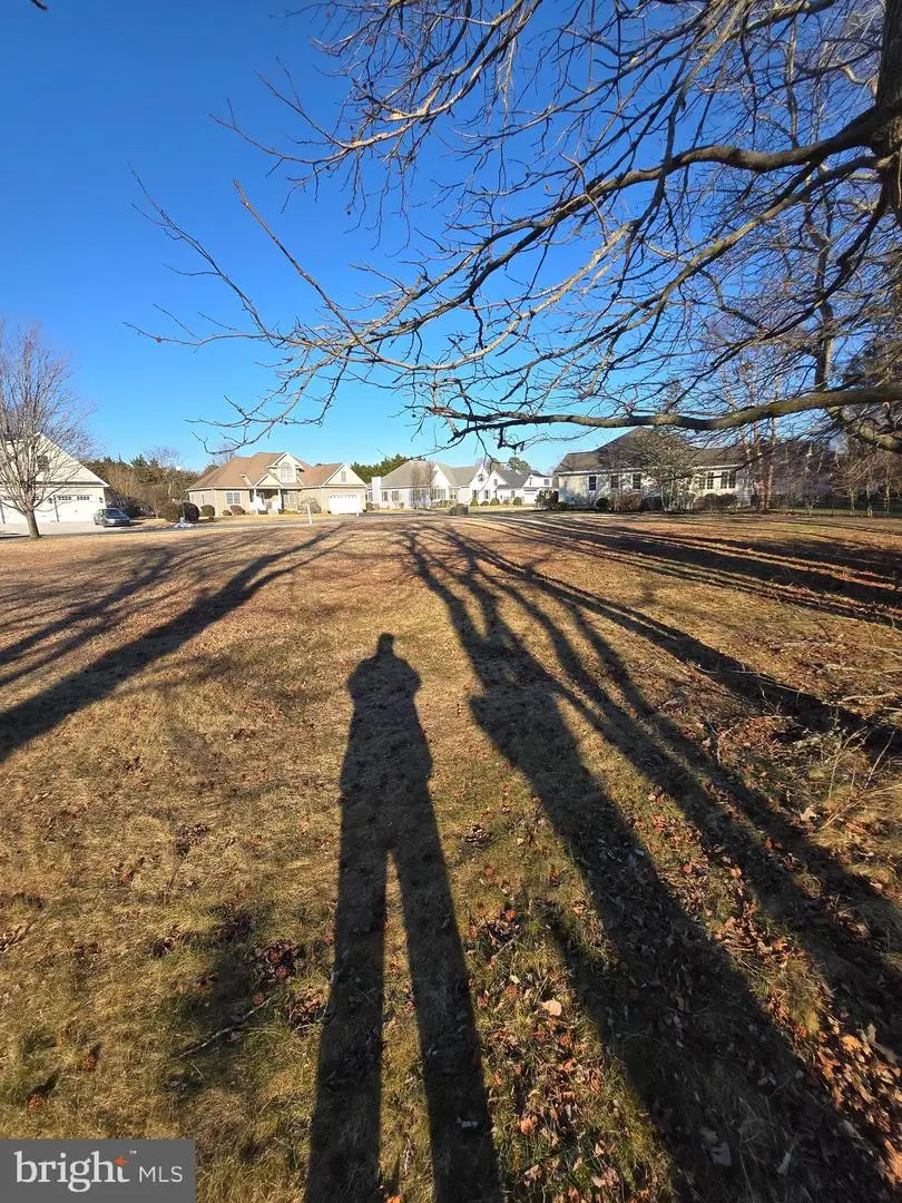 4 Jordyn Ct, Ocean View, DE 19970 - #3