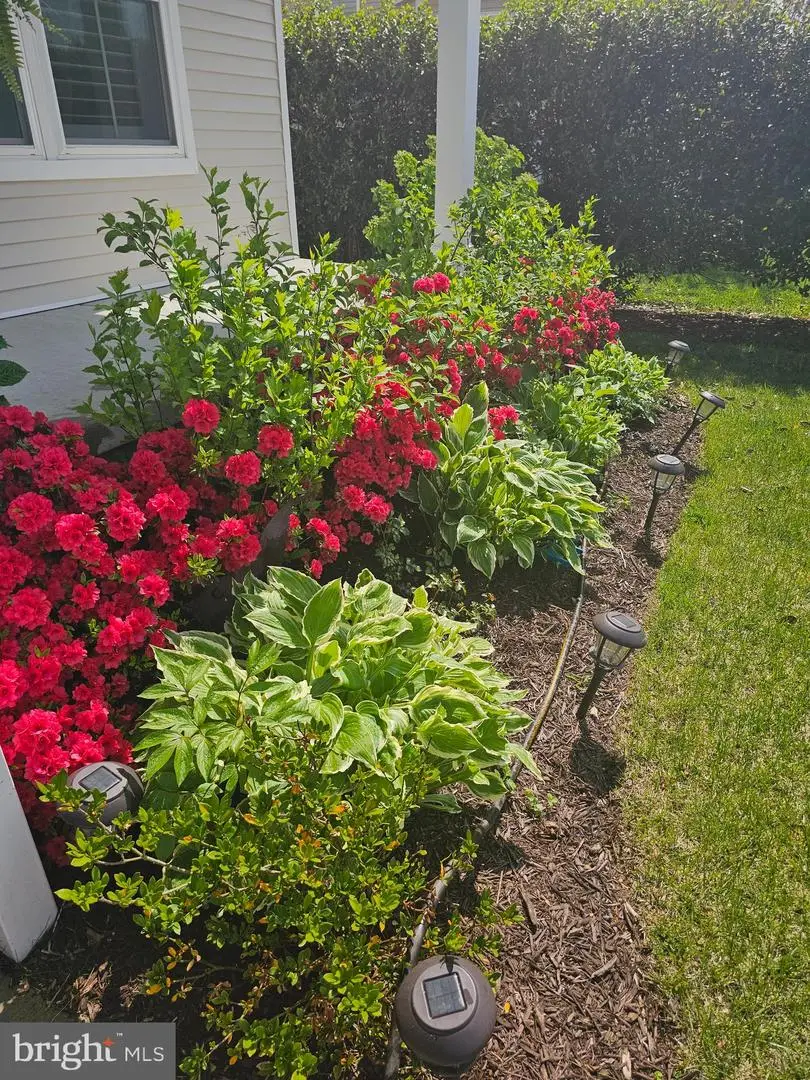 36997 Owl Dr, Selbyville, DE 19975 - #3