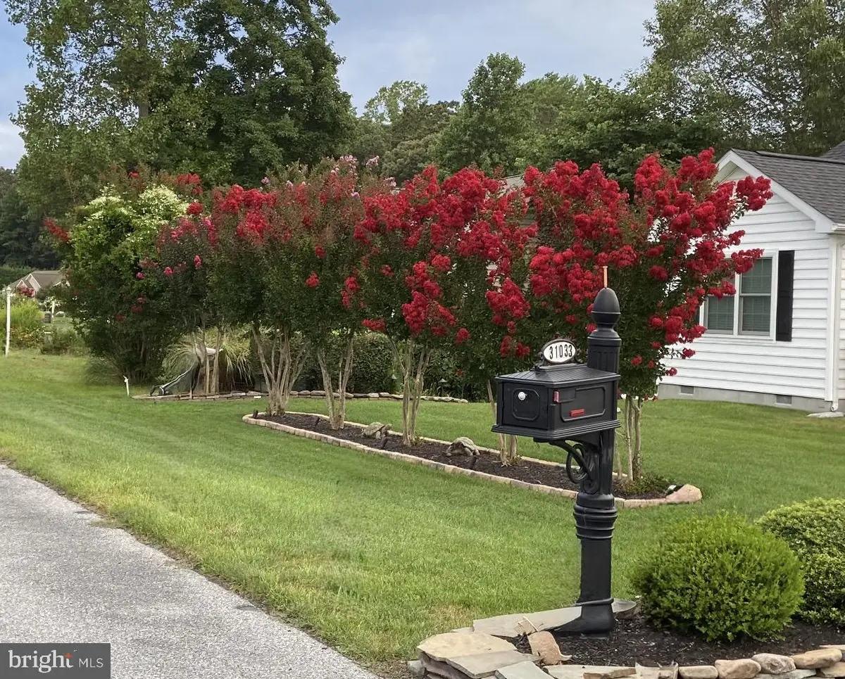 31033 Meadow Dr, Lewes, DE 19958 - #1