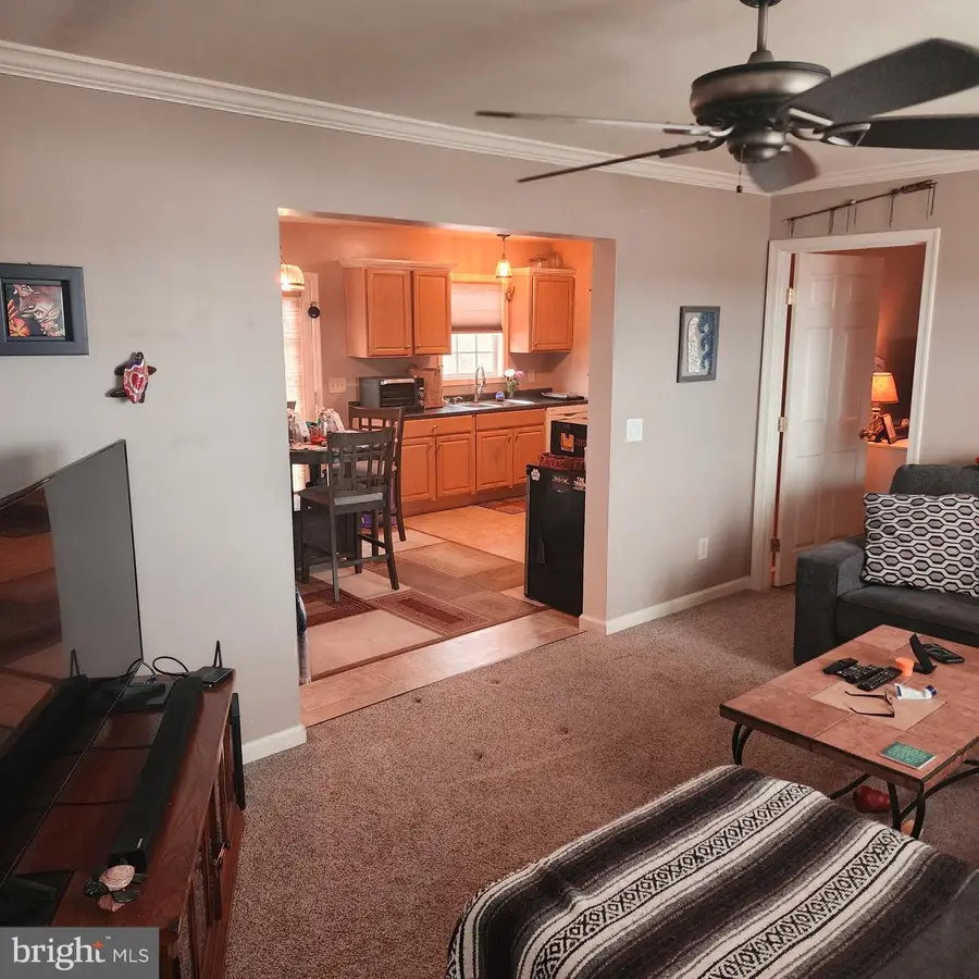 32524 Roxana Rd, Frankford, DE 19945 - #3