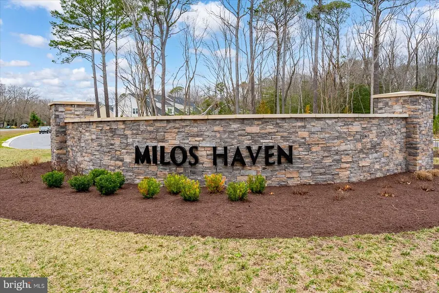 31760 Shad Creek Way, Frankford, DE 19945 - #2