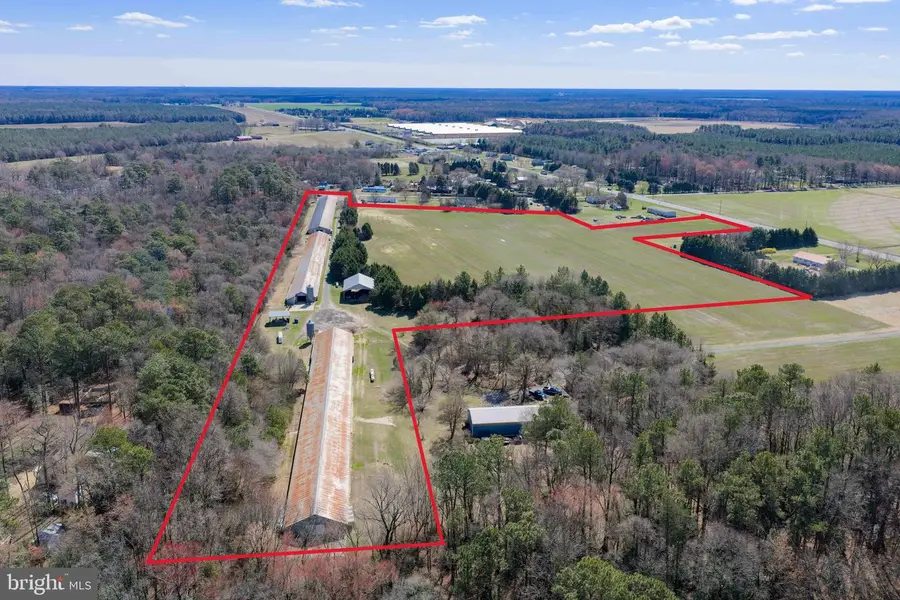 13651 Wilson Hill Rd, Georgetown, DE 19947 - #3