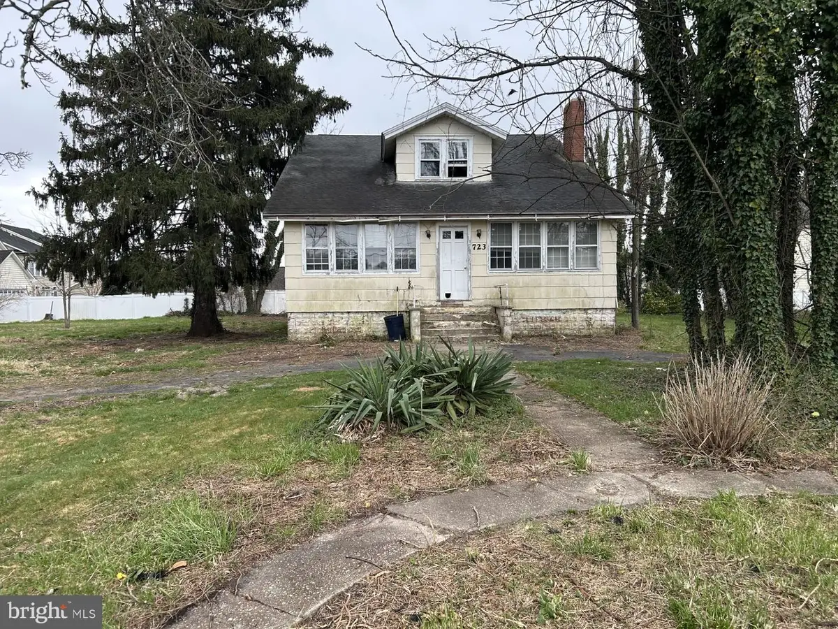 723 Chestnut St, Milton, DE 19968 - #1