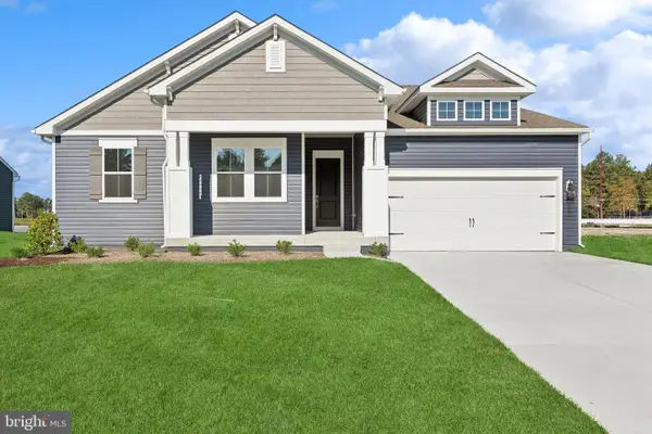 39162 Surfbird Dr, MILLVILLE, DE 19967