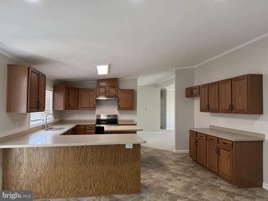 24799 Kruger Rd, Georgetown, DE 19947 - #2