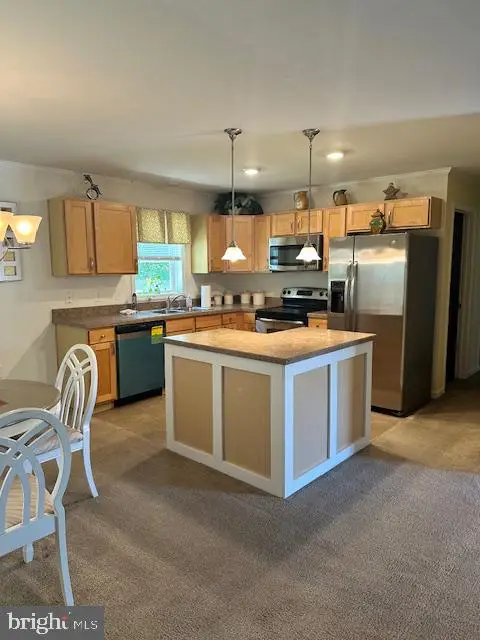 108 Bobbys Branch Rd, Millsboro, DE 19966 - #2