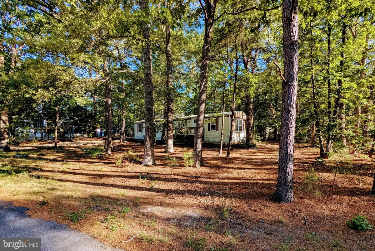 36344 Fir Dr, Rehoboth Beach, DE 19971 - #1