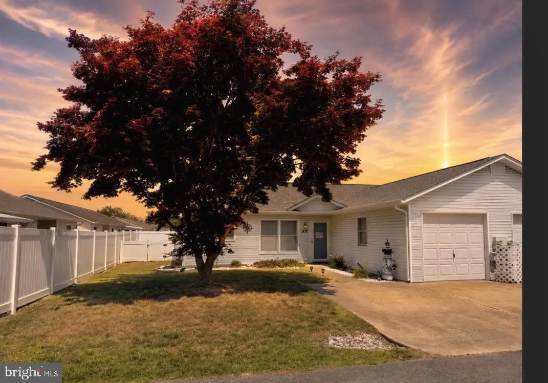 301 Branch Way, Millsboro, DE 19966 - #1