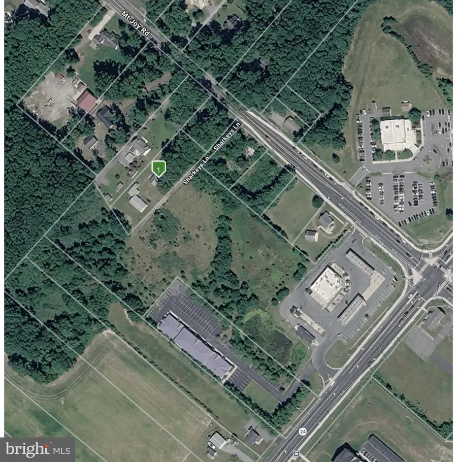 33342 Sharkeys Ln, Millsboro, DE 19966 - #2