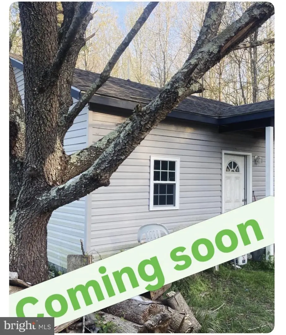 20333 Donovans Rd, Georgetown, DE 19947 - #1