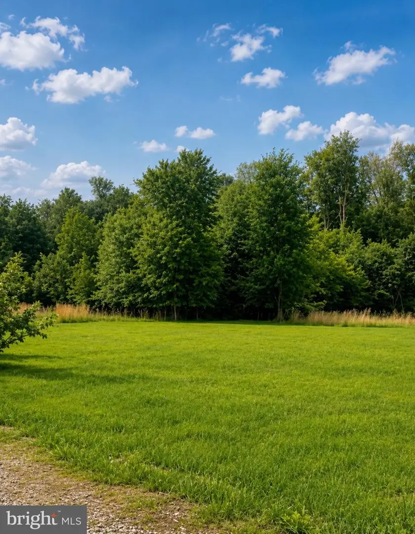 Lot Jay Patch Road, Selbyville, DE 19975 - #1