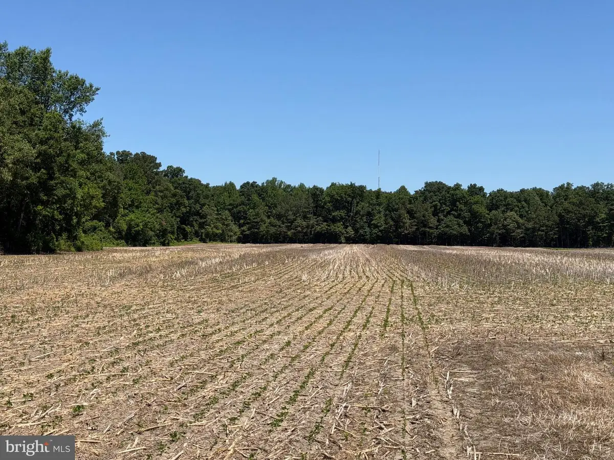 29199 Cordrey Rd, Millsboro, DE 19966 - #1
