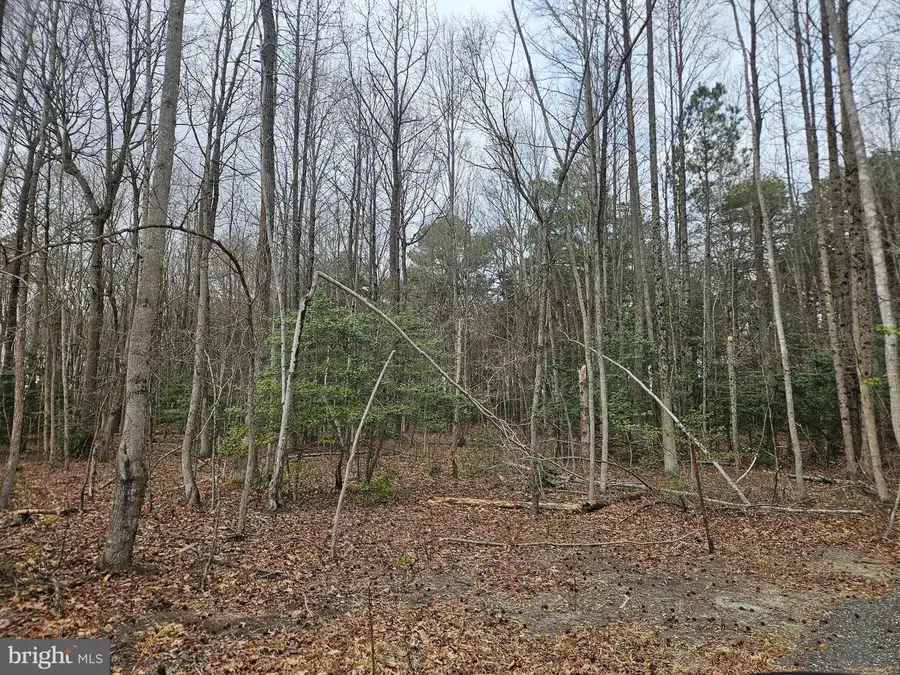 15410 Megan Joy Rd, Lincoln, DE 19960 - #3