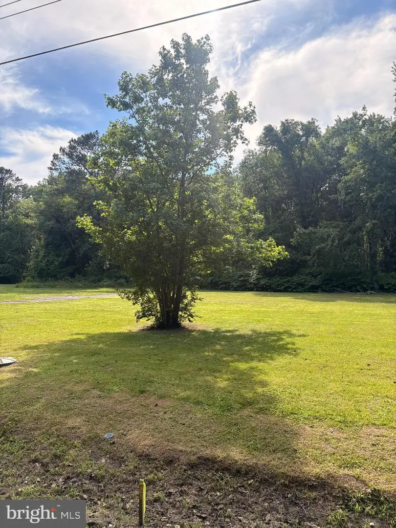 34676 Delaware Ave, Frankford, DE 19945 - #2