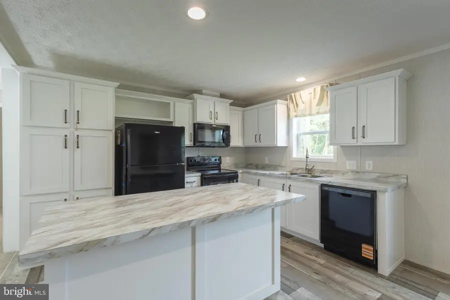 31697 E Trap Pond Rd, Laurel, DE 19956 - #3