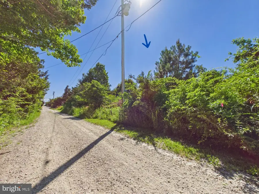 105 Mississippi Ave, Milton, DE 19968 - #3