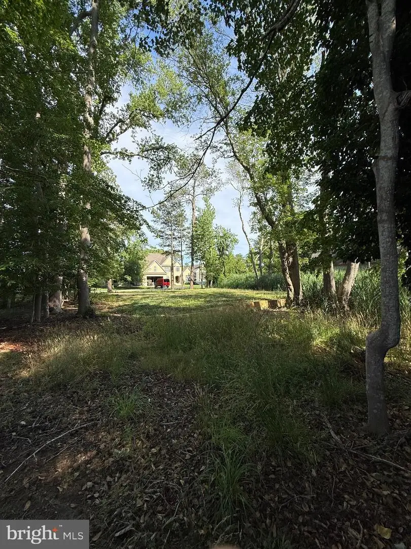 16 Sheffield Rd, Rehoboth Beach, DE 19971 - #3
