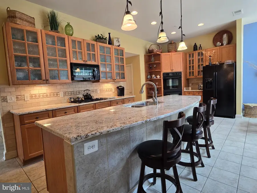 22094 S Preservation Dr, Millsboro, DE 19966 - #3