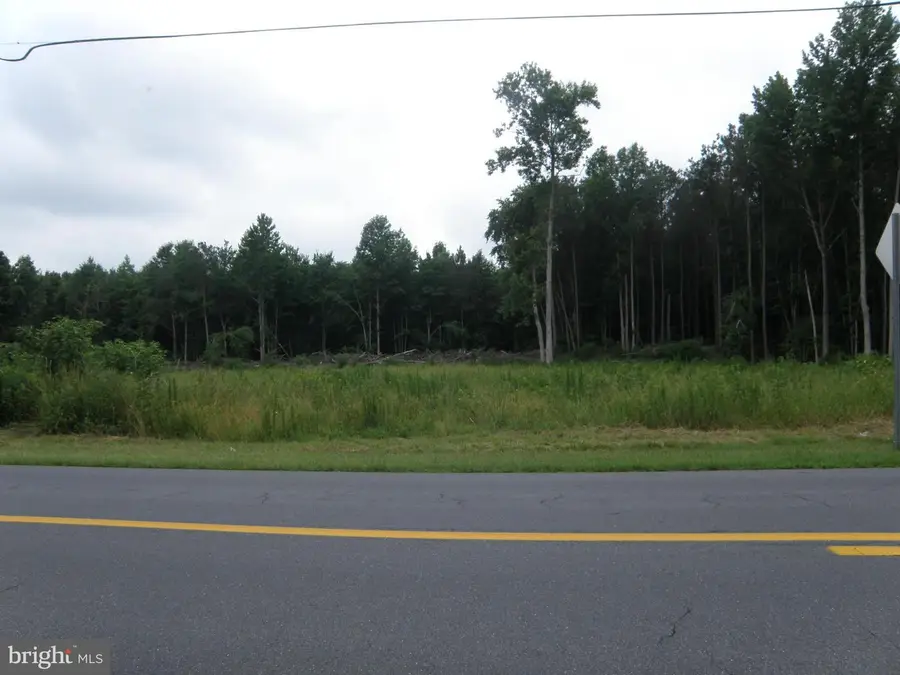 12540 N Union Church Rd, Ellendale, DE 19941 - #2