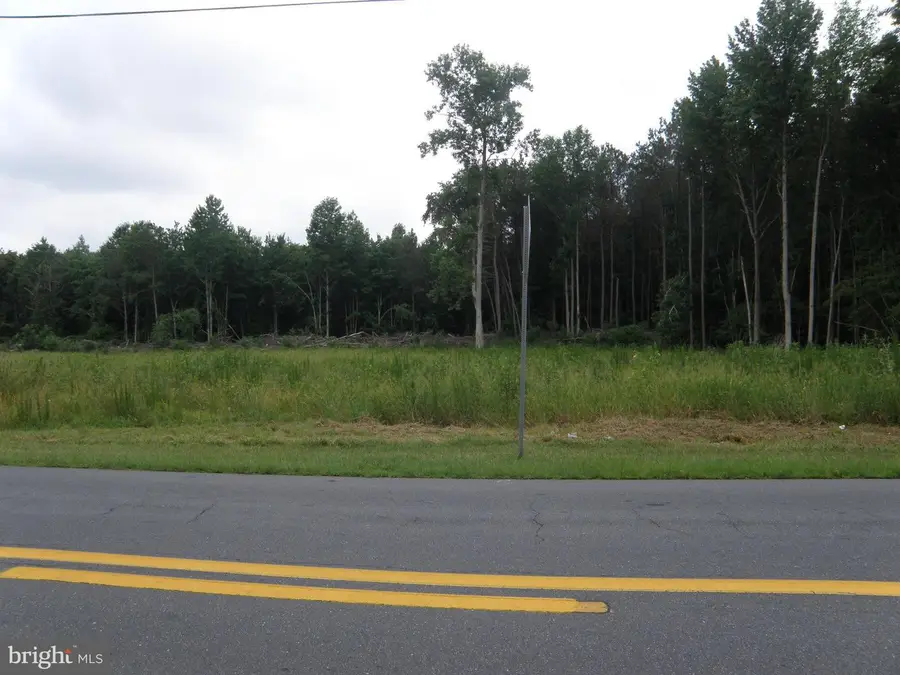 12540 N Union Church Rd, Ellendale, DE 19941 - #3