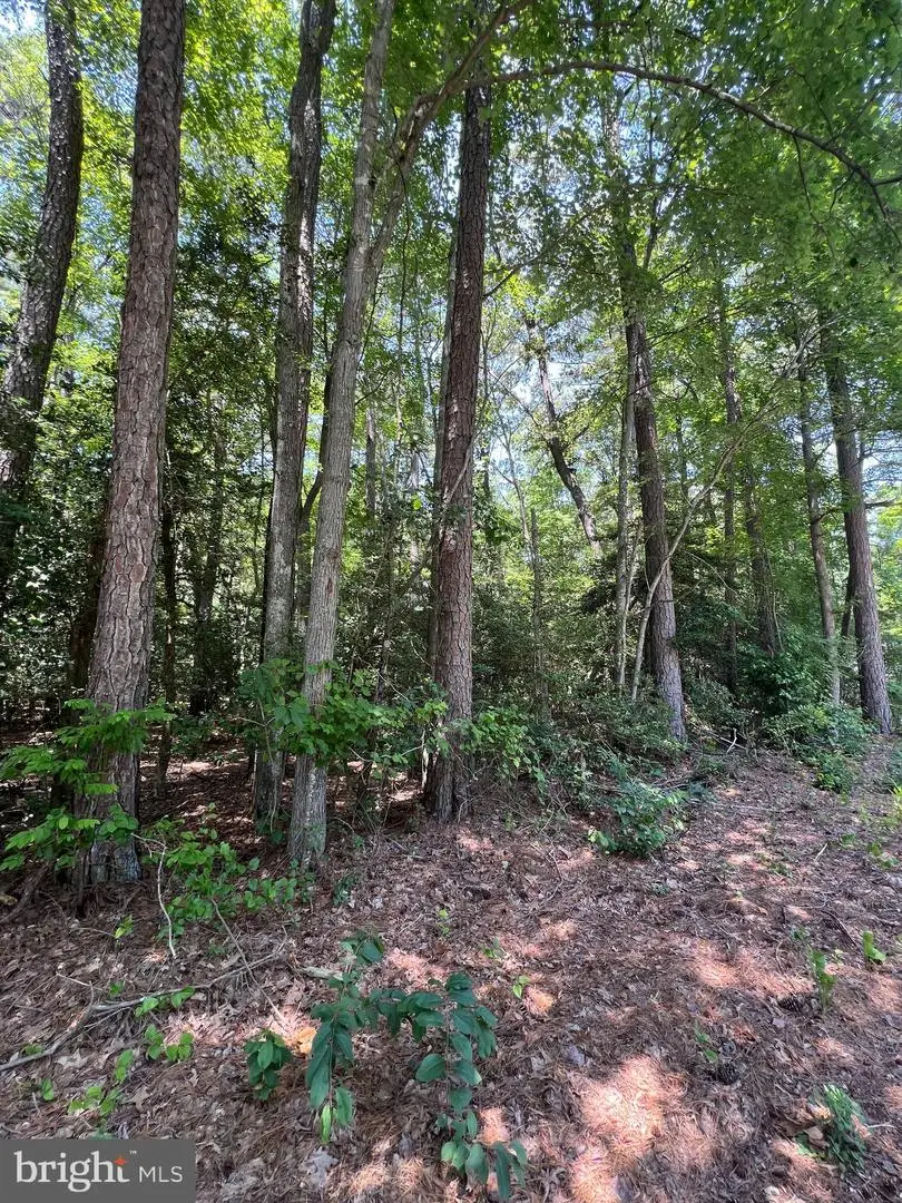 107 W Vega Way #7, Milton, DE 19968 - #3