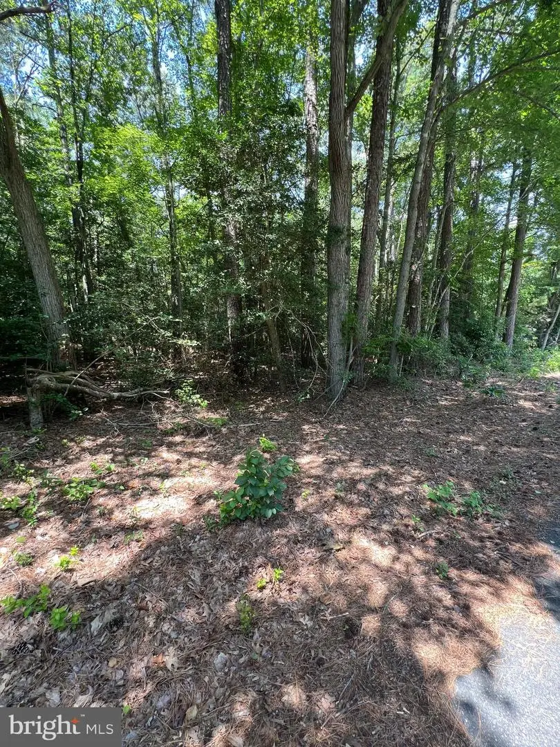 109 W Vega Way #lot 8, Milton, DE 19968 - #1