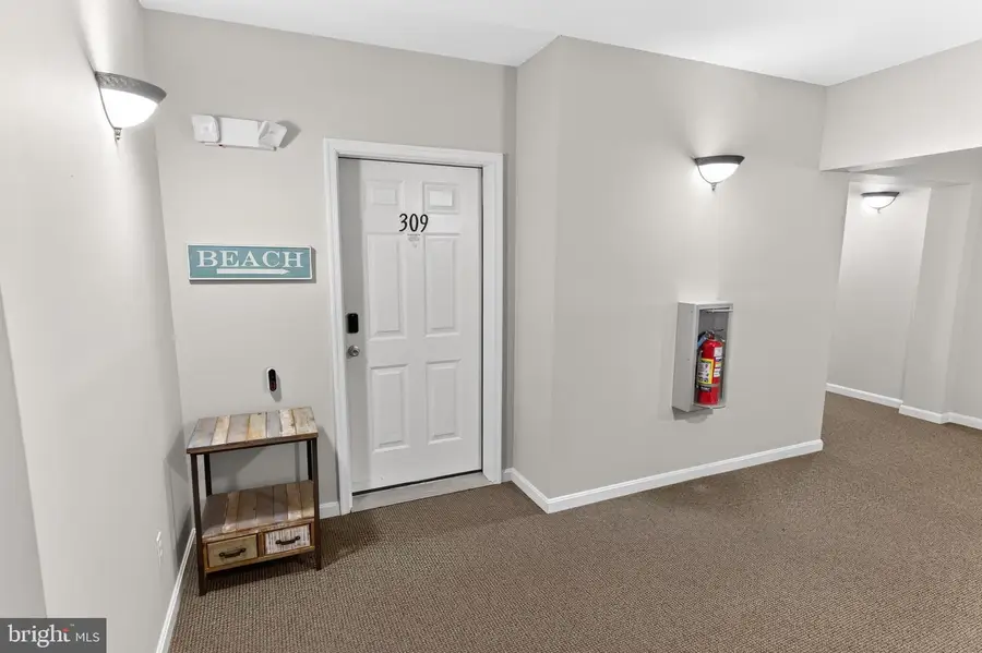 31568 Winterberry Pkwy #309, Selbyville, DE 19975 - #3