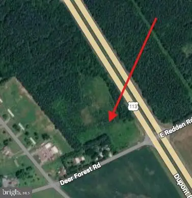 0 0 Rt 113 And Deer Forest Rd, Georgetown, DE 19947 - #1
