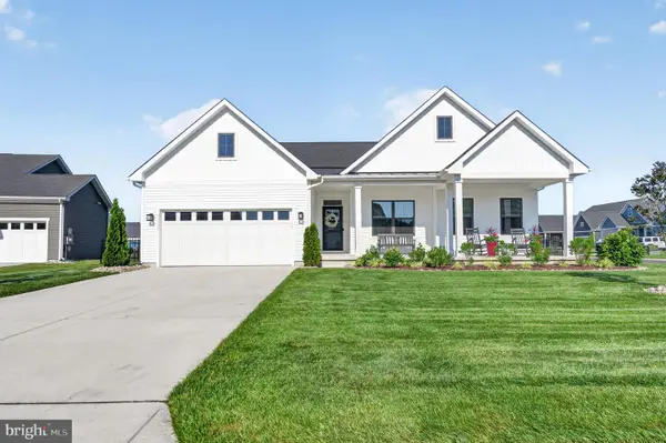 33135 Baratine Ln, SELBYVILLE, DE 19975