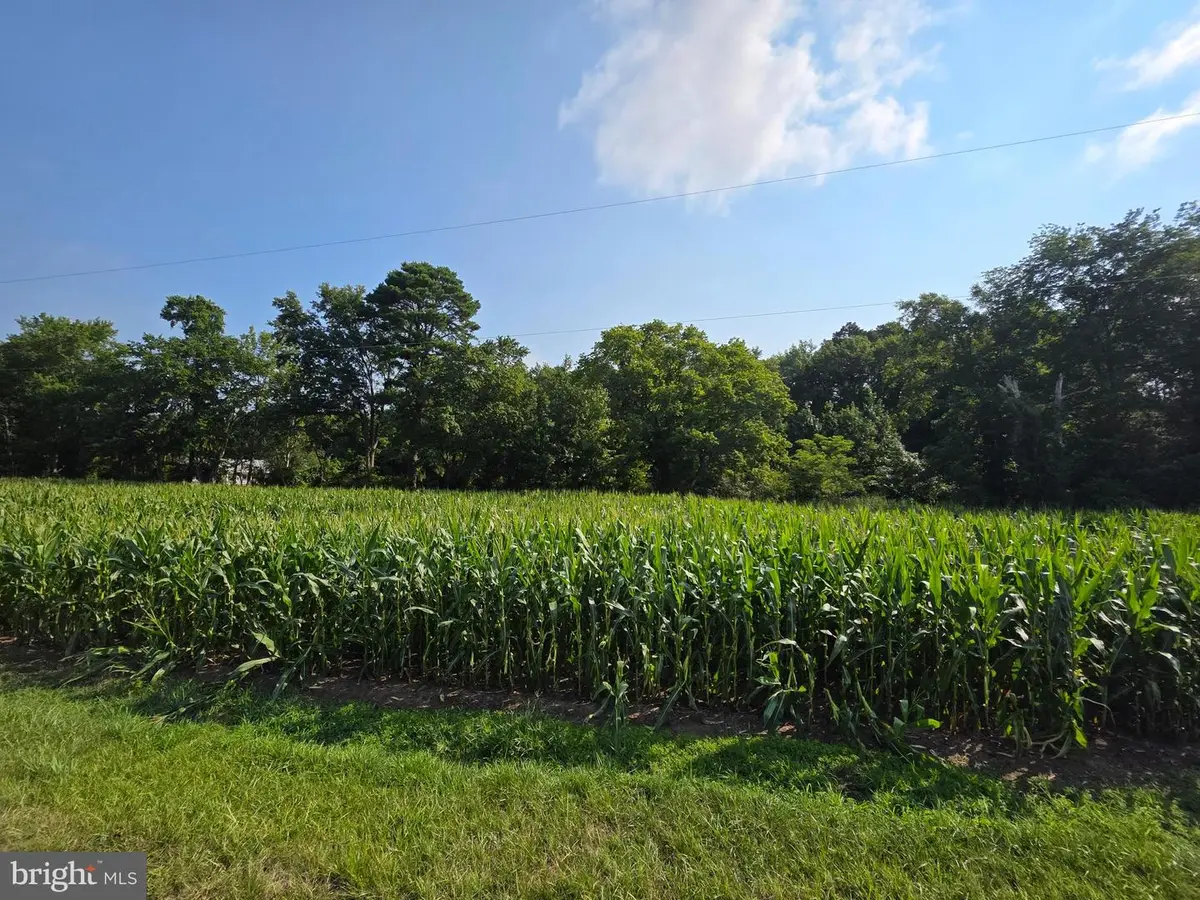 Tbd Lot A Phillips Rd, Selbyville, DE 19975 - #1