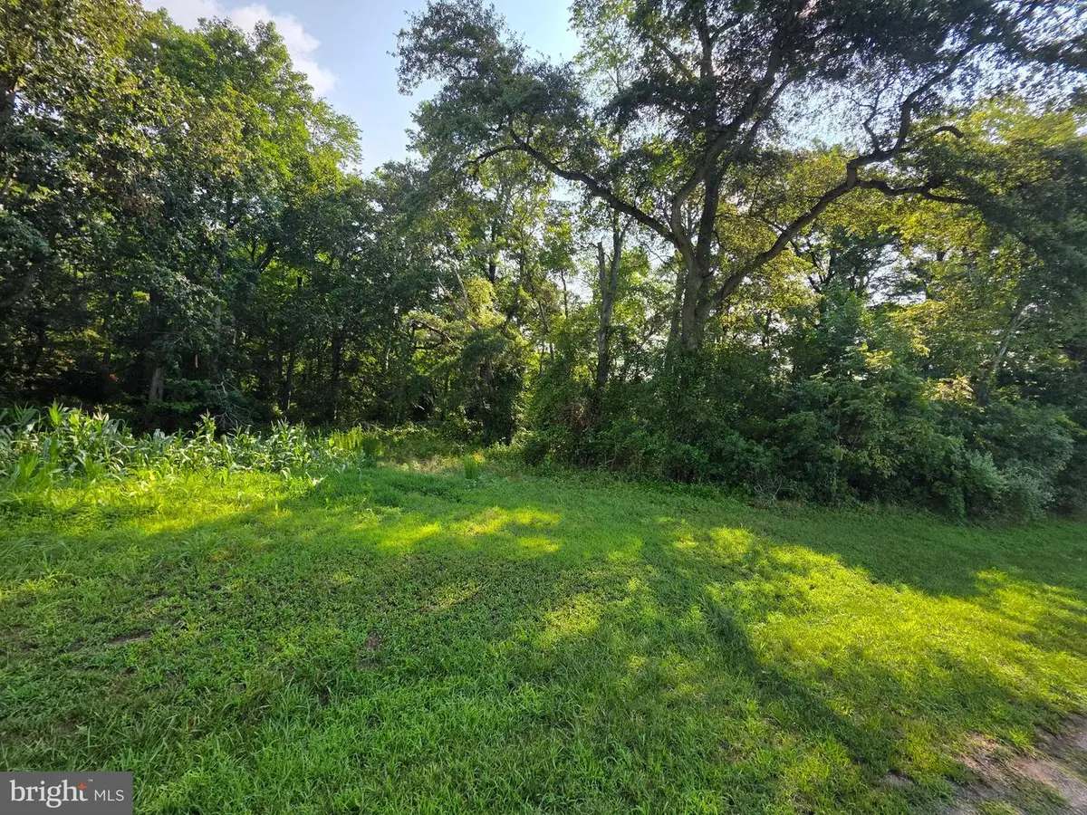 Tbd Lot B Phillips Rd, Selbyville, DE 19975 - #1